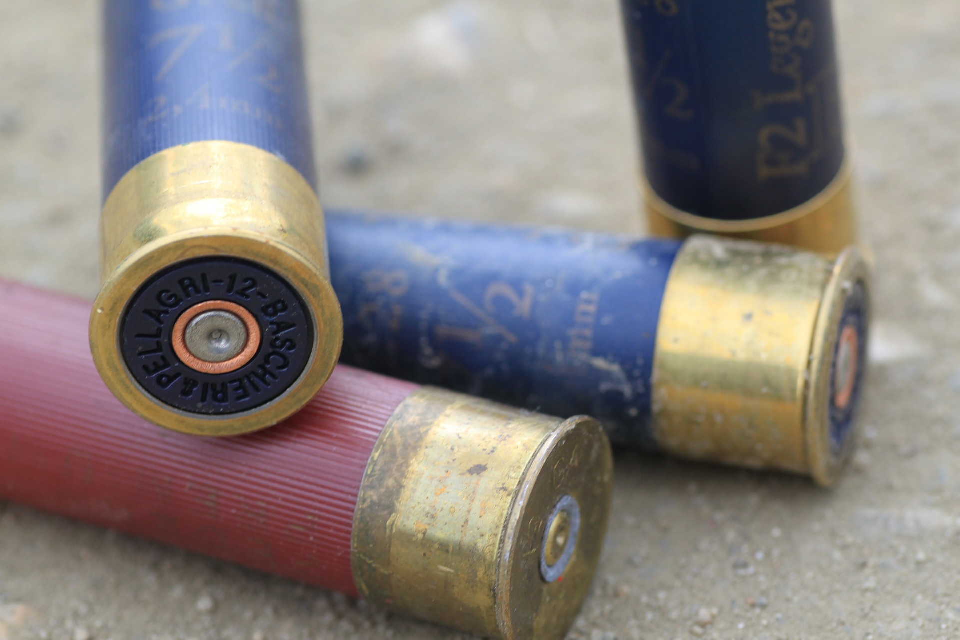 Close-up of five shotgun shells with brass bases, four blue and one red, scattered on a rough gray surface. The shells are marked with 