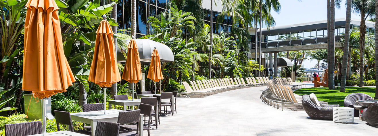 Outdoor patio with tables and wicker chairs under orange umbrellas. A pathway curves alongside lined with lounge chairs. Palm trees and lush greenery surround the area. A glass building and skywalk are visible in the background.